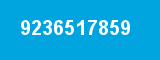 9236517859