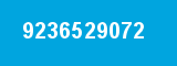 9236529072