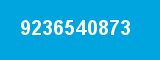 9236540873