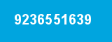 9236551639