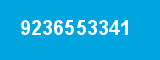 9236553341