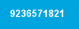 9236571821
