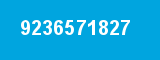 9236571827
