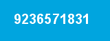 9236571831