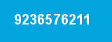 9236576211