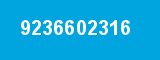 9236602316
