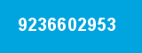 9236602953