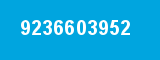 9236603952