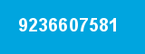 9236607581