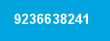 9236638241