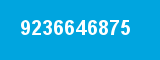 9236646875
