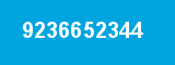9236652344