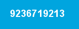 9236719213