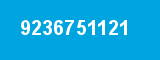 9236751121