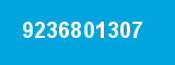 9236801307