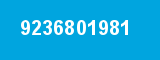 9236801981