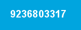 9236803317