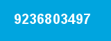 9236803497 9236803497