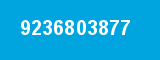 9236803877