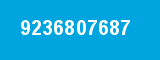 9236807687
