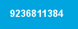 9236811384