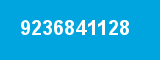 9236841128