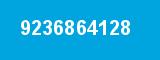 9236864128