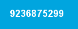 9236875299
