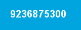 9236875300