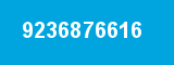 9236876616