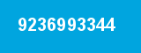 9236993344