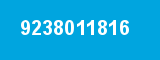 9238011816