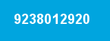 9238012920