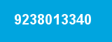 9238013340