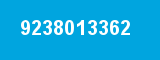 9238013362