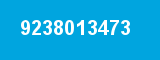 9238013473 9238013473