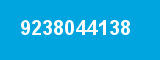 9238044138