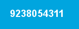9238054311