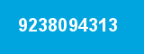 9238094313