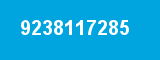 9238117285