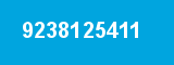 9238125411