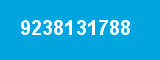 9238131788