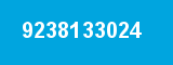 9238133024