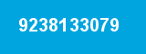 9238133079