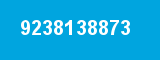 9238138873