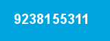9238155311