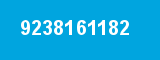 9238161182