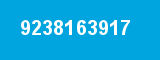 9238163917