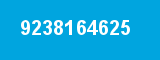 9238164625