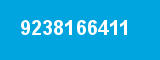 9238166411